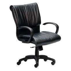Neutral Posture Embrace Executive, Conference And Task Chair