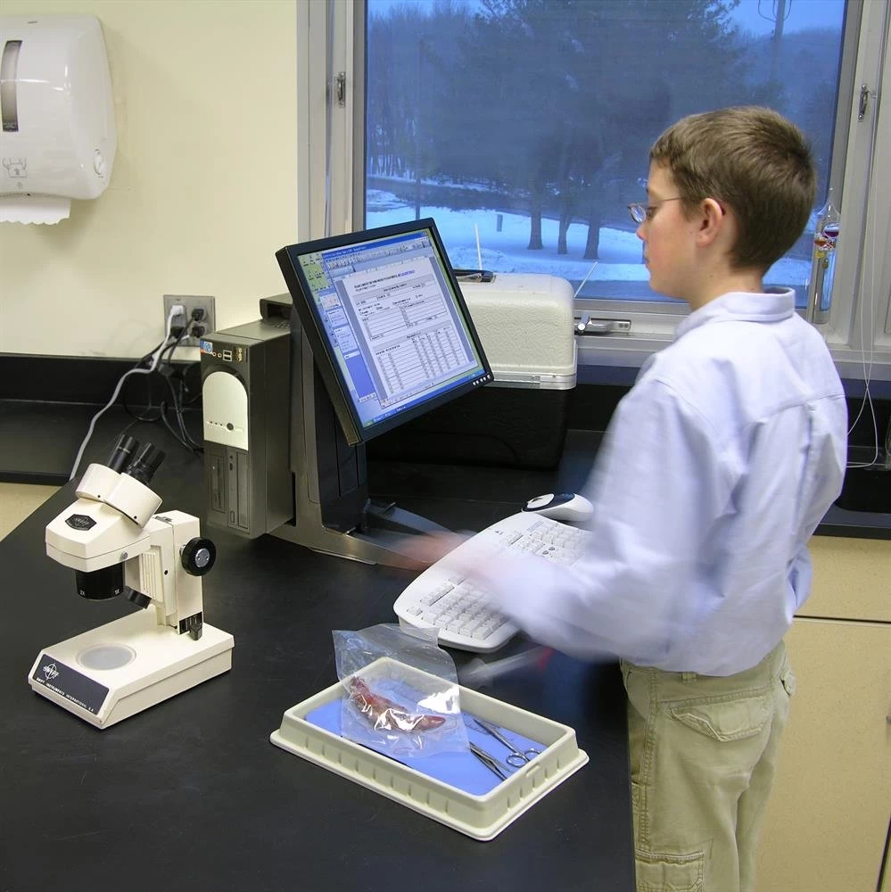 Ergotron 33-326-085 Neo-Flex All-In-One Lift Stand 6 Ergotron 33-326-085 Neo-Flex All-In-One Lift Stand - Image 6