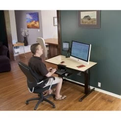 Ergotron 24-271-928 WorkFit-D, Sit-Stand Desk -Office Tool Store Ergotron 24 271 928 WorkFit D Sit Stand Desk birch 15