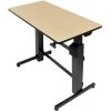 Ergotron 24-271-928 WorkFit-D, Sit-Stand Desk