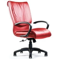 Neutral Posture Embrace Executive, Conference And Task Chair 6 Neutral Posture Embrace Executive, Conference And Task Chair -Office Tool Store Neutral Posture Lite Embrace Office Chair 1